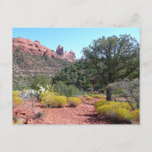 Red Rocks and Cacti II in Sedona Arizona Postcard