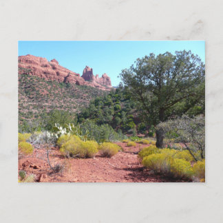Red Rocks and Cacti II in Sedona Arizona Postcard