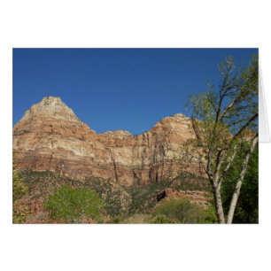 Red Rocks at Zion National Park Photography