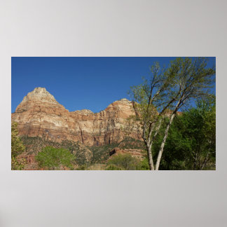 Red Rocks at Zion National Park Photography Poster