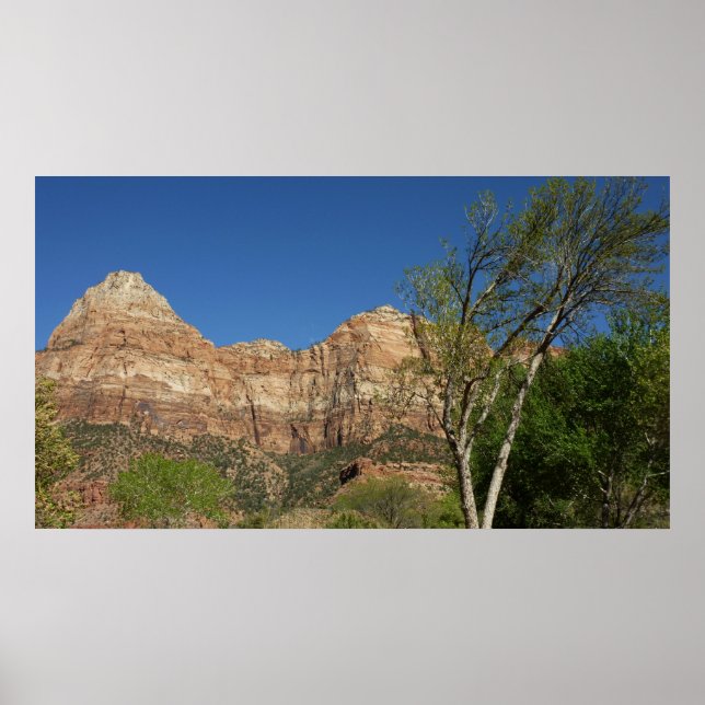 Red Rocks at Zion National Park Photography Poster (Front)