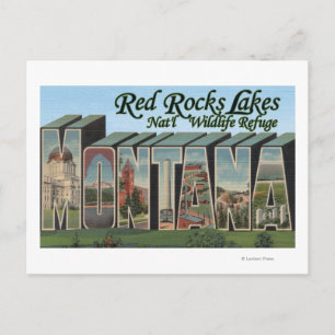 Red Rocks Lake Park, Montana Postcard