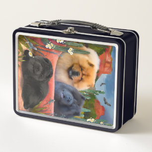 RED ROCKS ROSAN Chow portrait Metal Lunch Box
