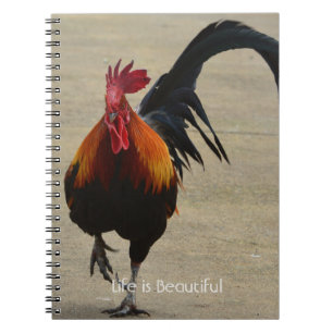 Red Rooster Bird Kauai (my photography) Notebook