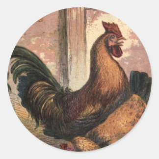 Red Rooster, Brown Hen and Baby Chicks on Straw Classic Round Sticker