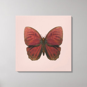 Red Rooster Butterfly Canvas Print