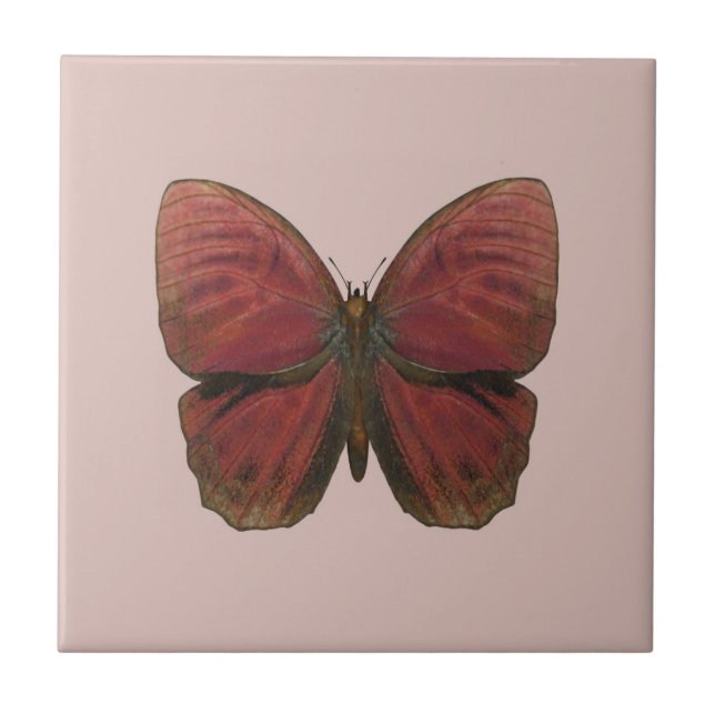 Red Rooster Butterfly Tile (Front)