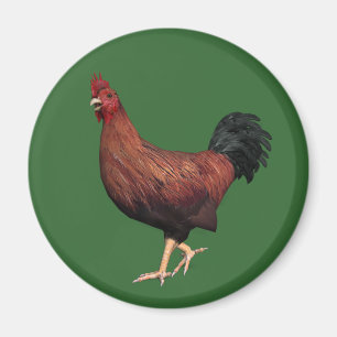 Red Rooster Magnet