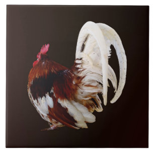 Red Rooster With White Tail Feathers Tile