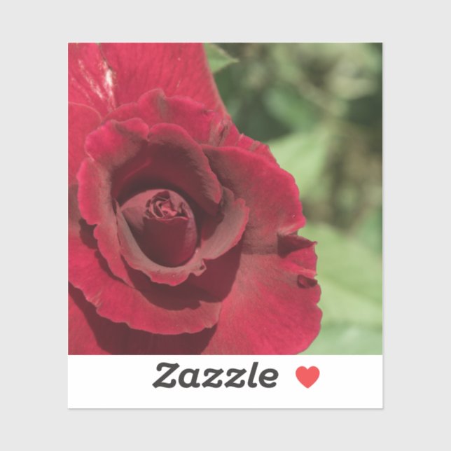 Red Rose (Sheet)