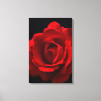 Red Rose 16x24 (40x60cm) waccna