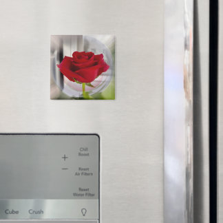 Red rose 2 magnet
