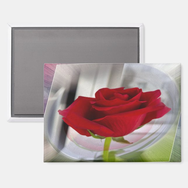 Red rose 2 magnet (Front/Back)