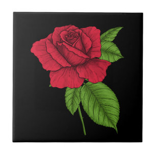 Red rose 2 tile