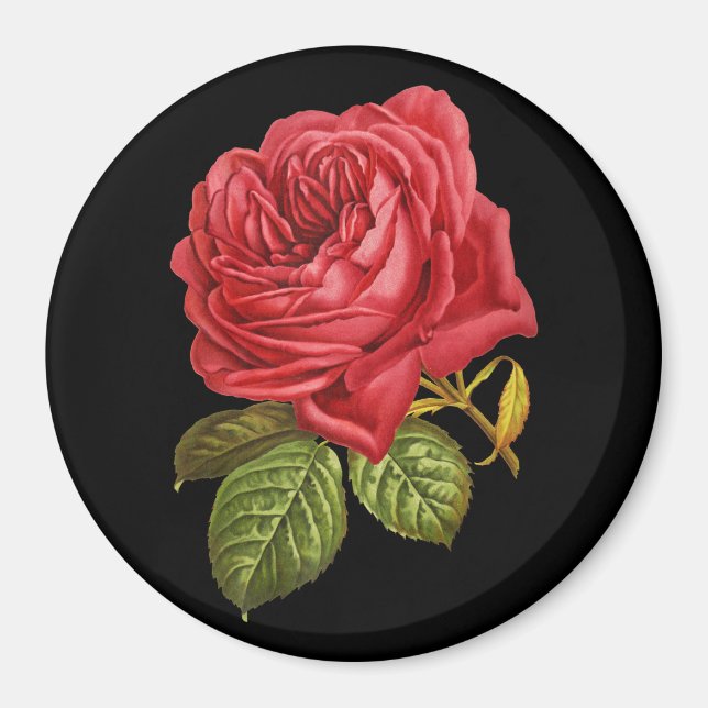 Red Rose 3" Round Magnet (Front)