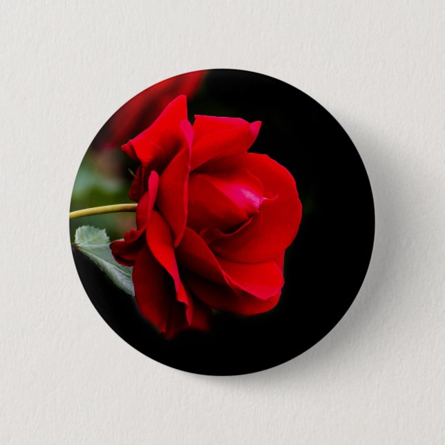 Red rose 6 cm round badge (Front)