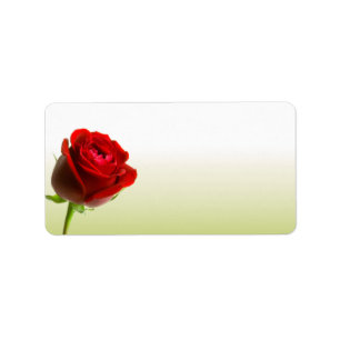 Red Rose Address Labels