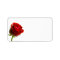 Red Rose Address Labels