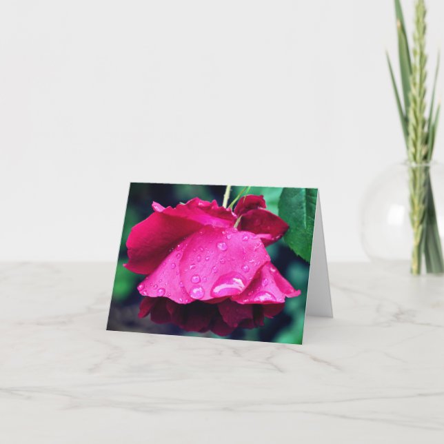 Red Rose After Rain Flower Photography  Note Card (Front)