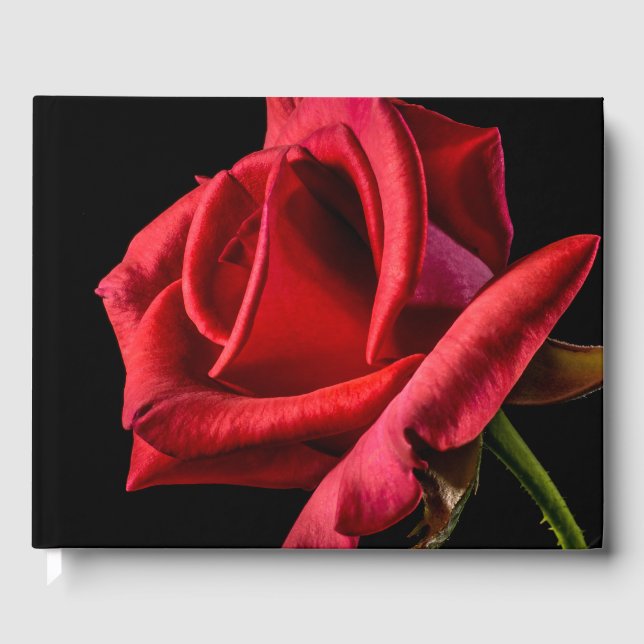 Red Rose Against Black Background Guest Book (Front)