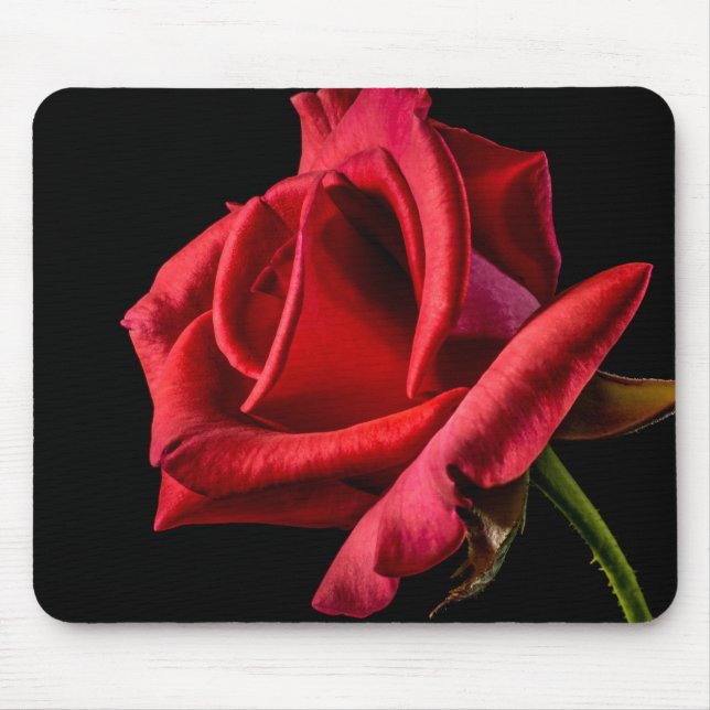 Red Rose Against Black Background Mouse Pad (Front)