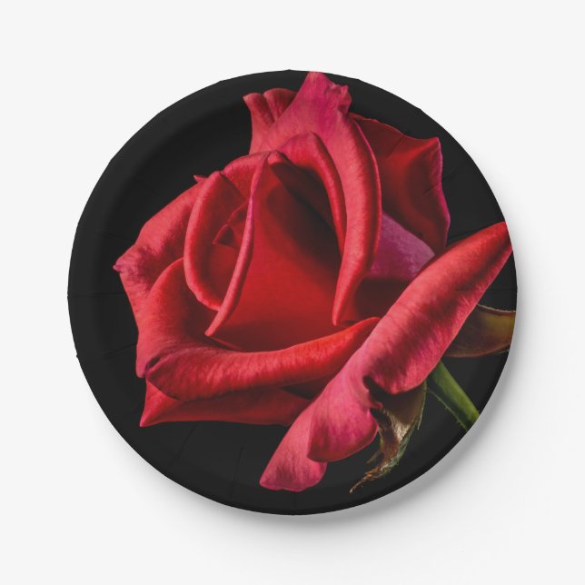 Red Rose Against Black Background Paper Plate (Front)