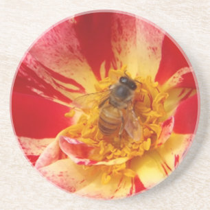 Red rose and bee coasters