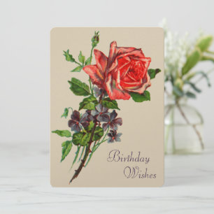 Red Rose and Violets Card
