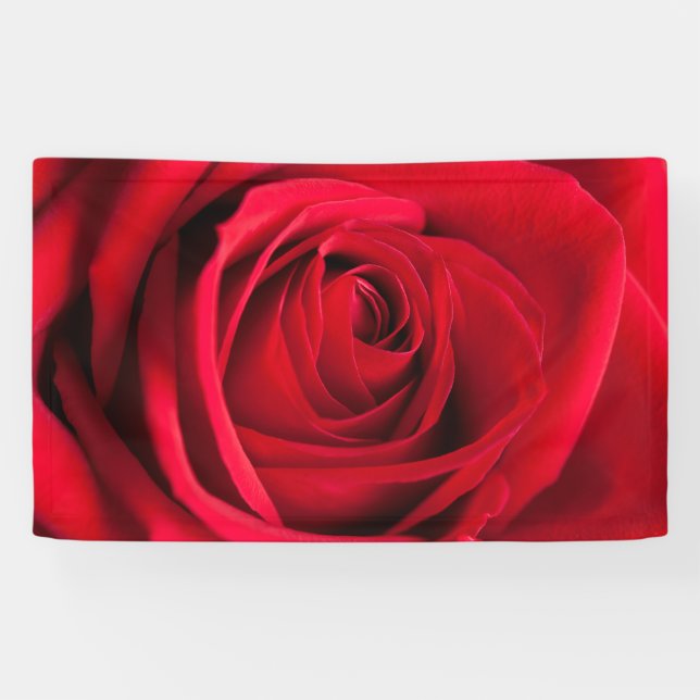 Red Rose Banner (Horizontal)