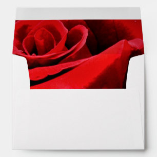 Red Rose Beautiful Flower Envelopes