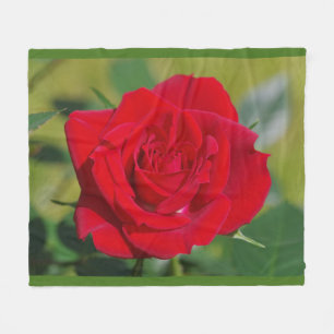Red Rose Beauty Fleece Blanket