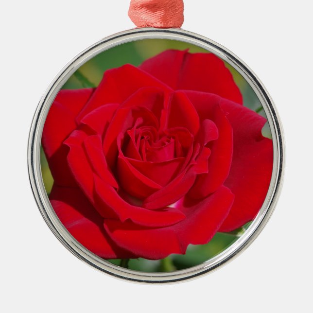 Red Rose Beauty Metal Tree Decoration (Front)
