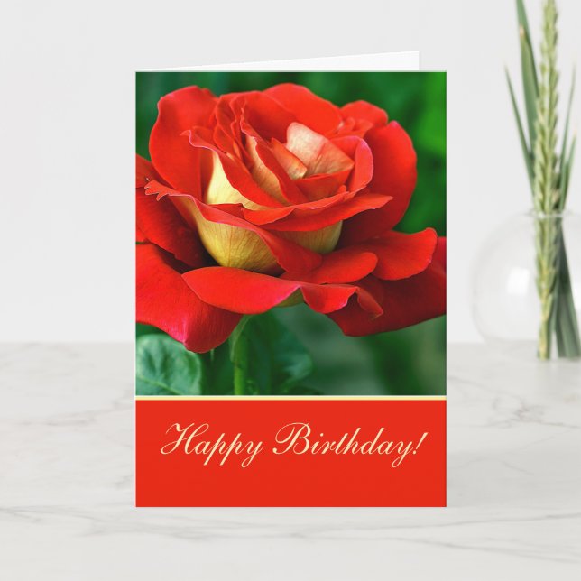  Red Rose Birthday Greeting Card (Front)