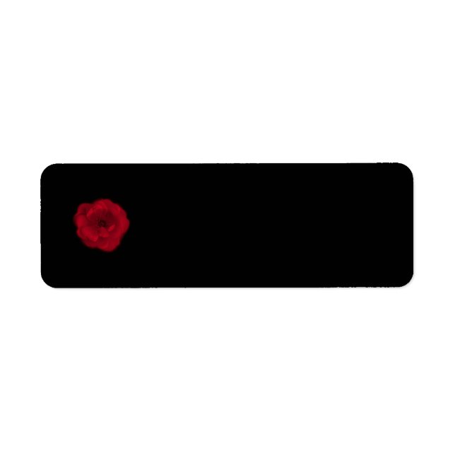 Red Rose. Black Background. (Front)