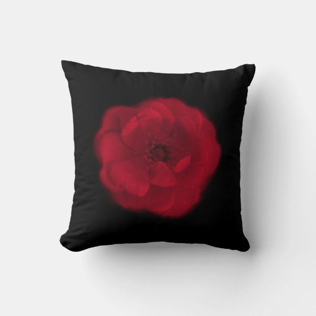 Red Rose. Black Background. Cushion (Front)