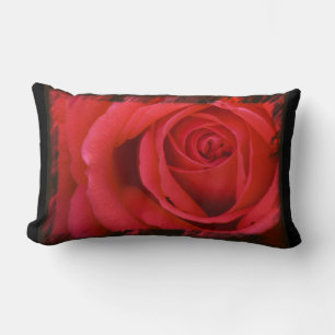 Red Rose Black Border Lumbar Cushion