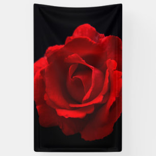 Red Rose bnrcnm Banner