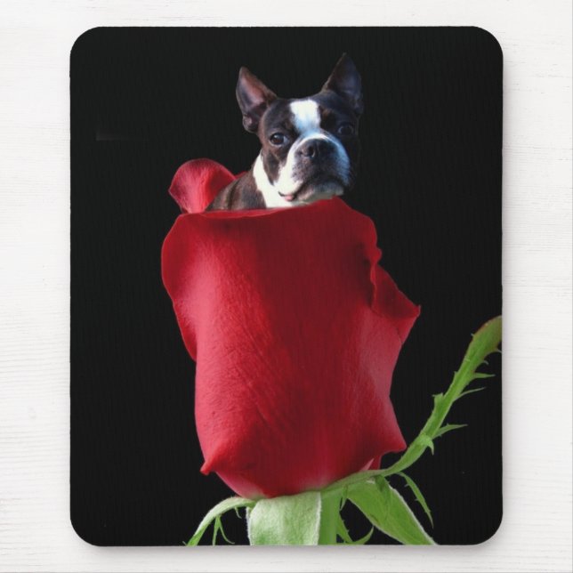 Red rose boston terrier mousepad (Front)