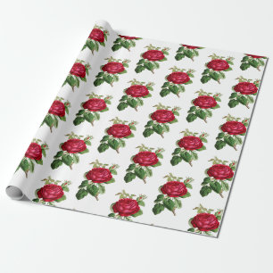 Red Rose Botanical Illustration Pattern Vintage Wrapping Paper