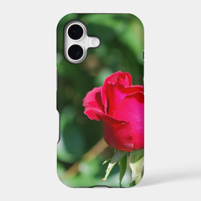 Red Rose Bud (Back)