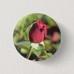 Red Rose Bud 3 Cm Round Badge