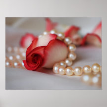 Red Rose Bud and Pearls