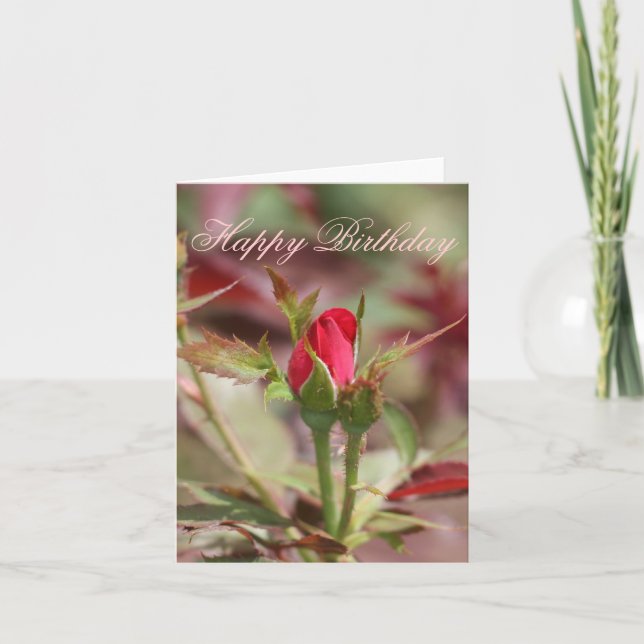 Red Rose Bud Happy Birthday Card (Front)
