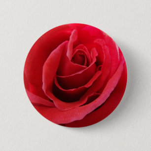 Red Rose Button