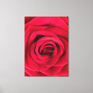 Red Rose Canvas Print