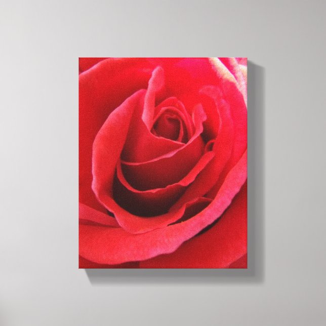 Red Rose Canvas Print (Front)