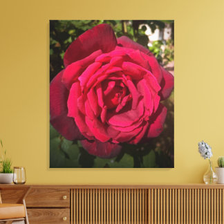Red Rose Canvas Print