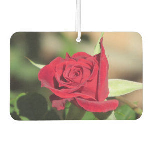 Red Rose Car Air Freshener