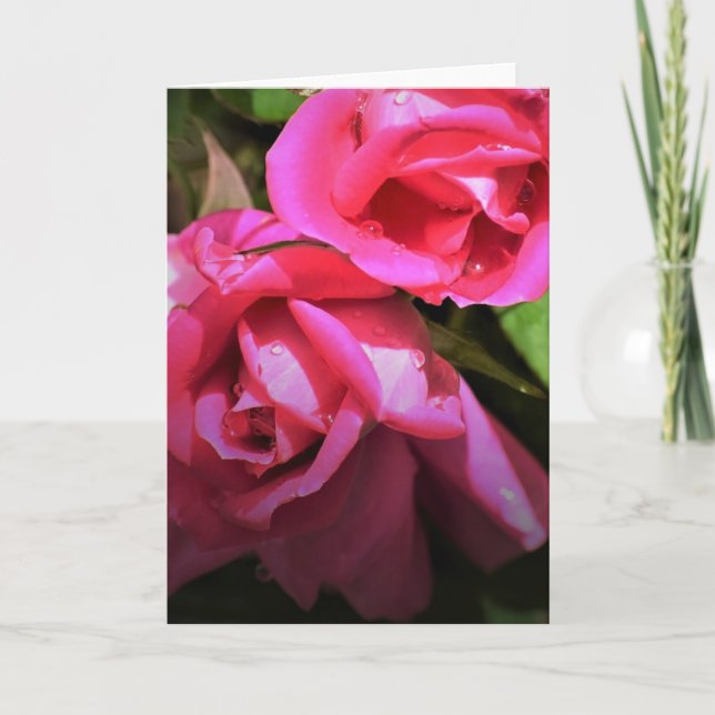 Red Rose, card (Front)