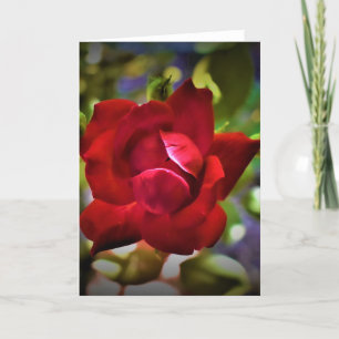 Red Rose, card